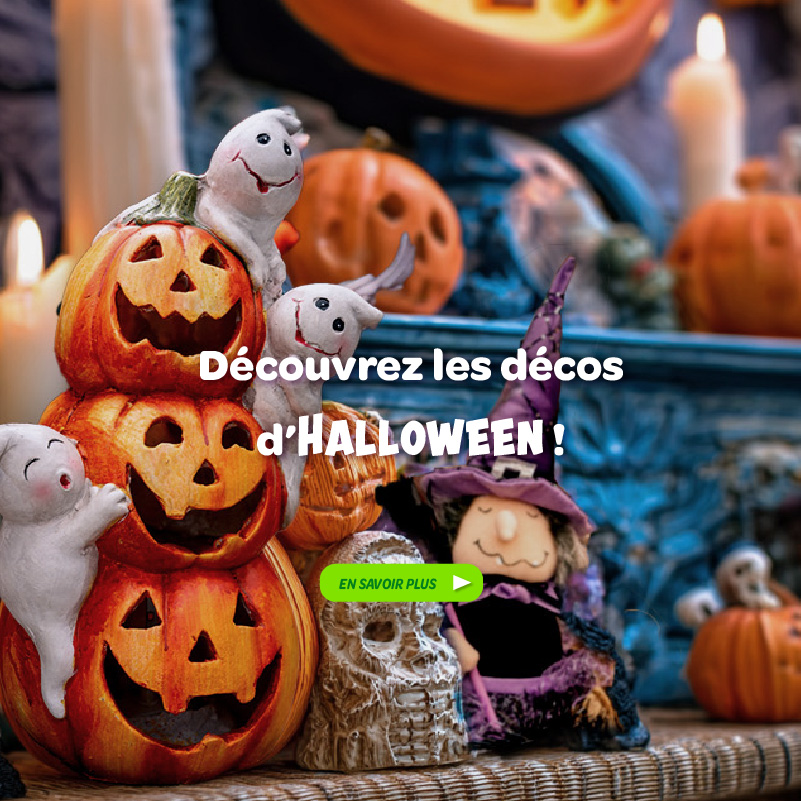 Les décos pour Halloween sont arrivées dans vos jardineries Tournesols